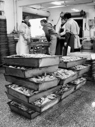 台州农产品深加工不足30%之困 从“忧”到“优”的转型之路