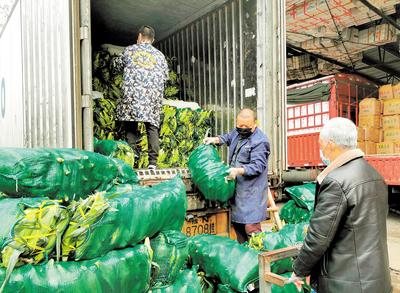 农产品销售稳步复苏 机遇、挑战与未来展望