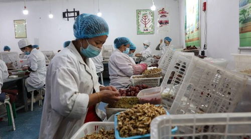 依托电子商务，开拓农产品销售新蓝海