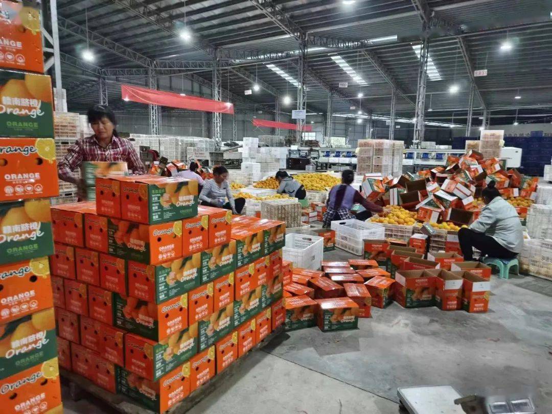 5年逆袭路 从打工人到年销700万农产品老板的蜕变之旅