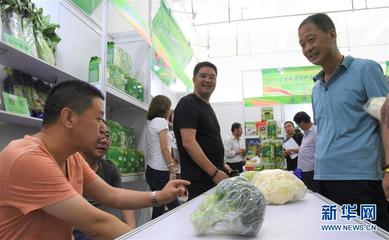 甘肃农产品“通四海” 畅通农产品销售新路径