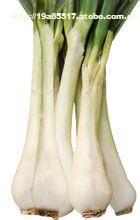 隆尧县悯禾农产品种植专业合作社 农作物种苗热卖促销，优质供应商的选择