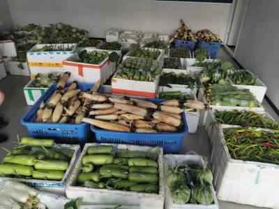 义乌佛堂镇 疫情下的助农突围，多措并举打通农产品销售“最后一公里”